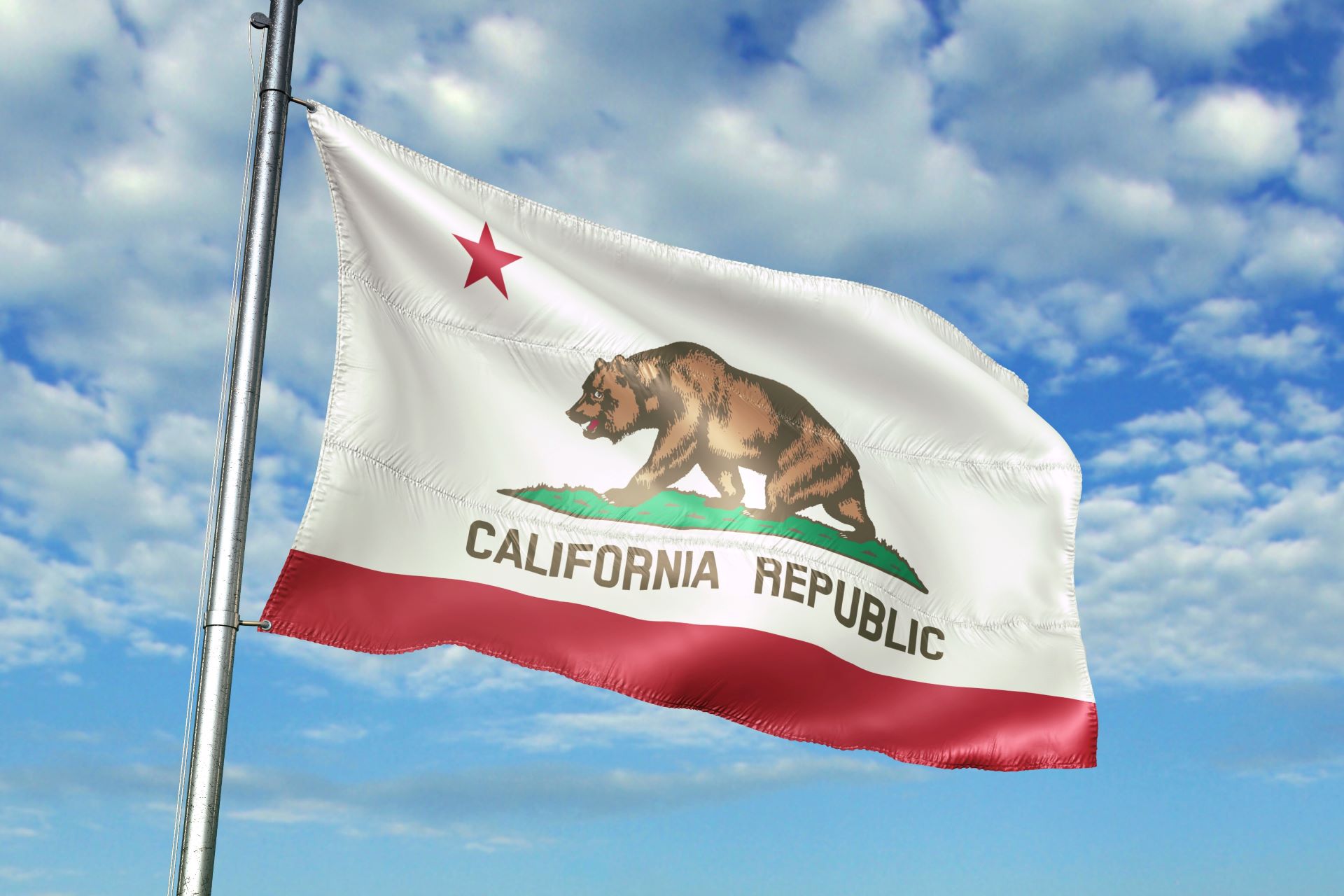Landmark California Ruling Empowers Nonprofits, Unions and Advocacy Groups to Combat Unfair Business Practices