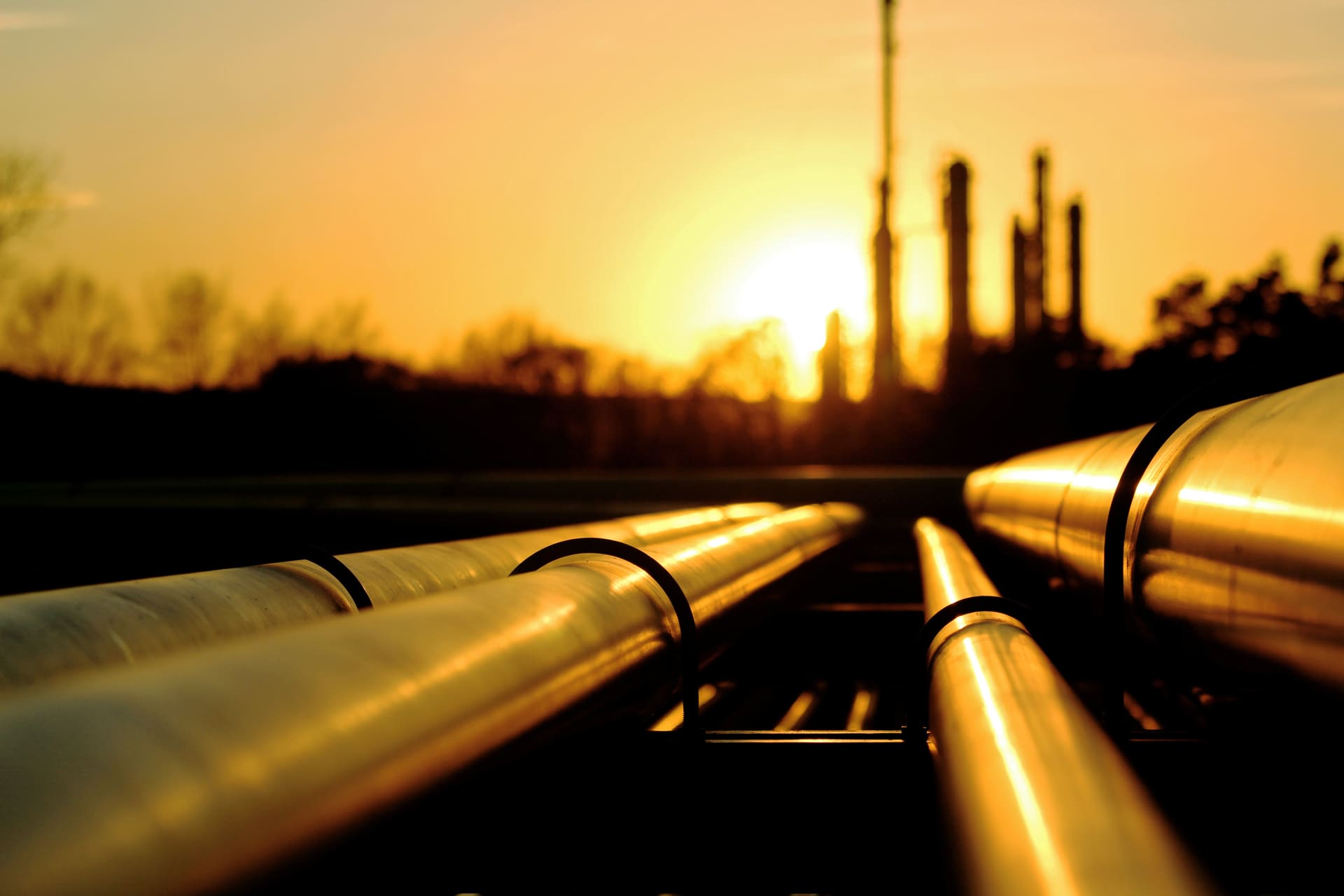 pipelines_detail