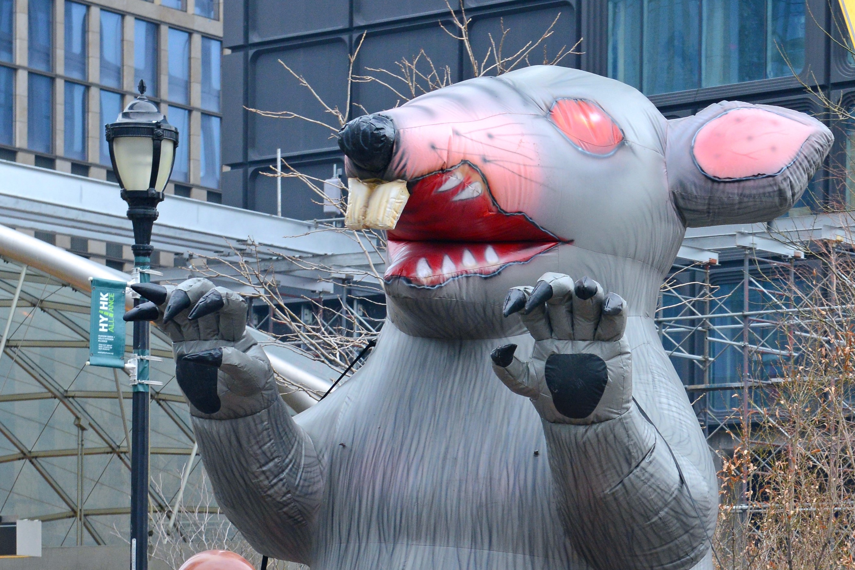 Scabby the rat