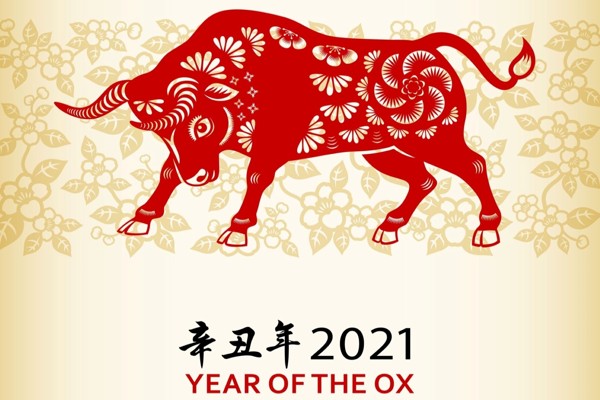 Year of the ox